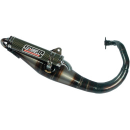 GIANNELLI SCOOTER EXHAUST REVERSE OVETTO
