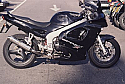TRIUMPH SPRINT ST 955i (99-10) PREDATOR SILENCER ROAD LOW LEVEL WITH R/BAFFLE IN S/STEEL 